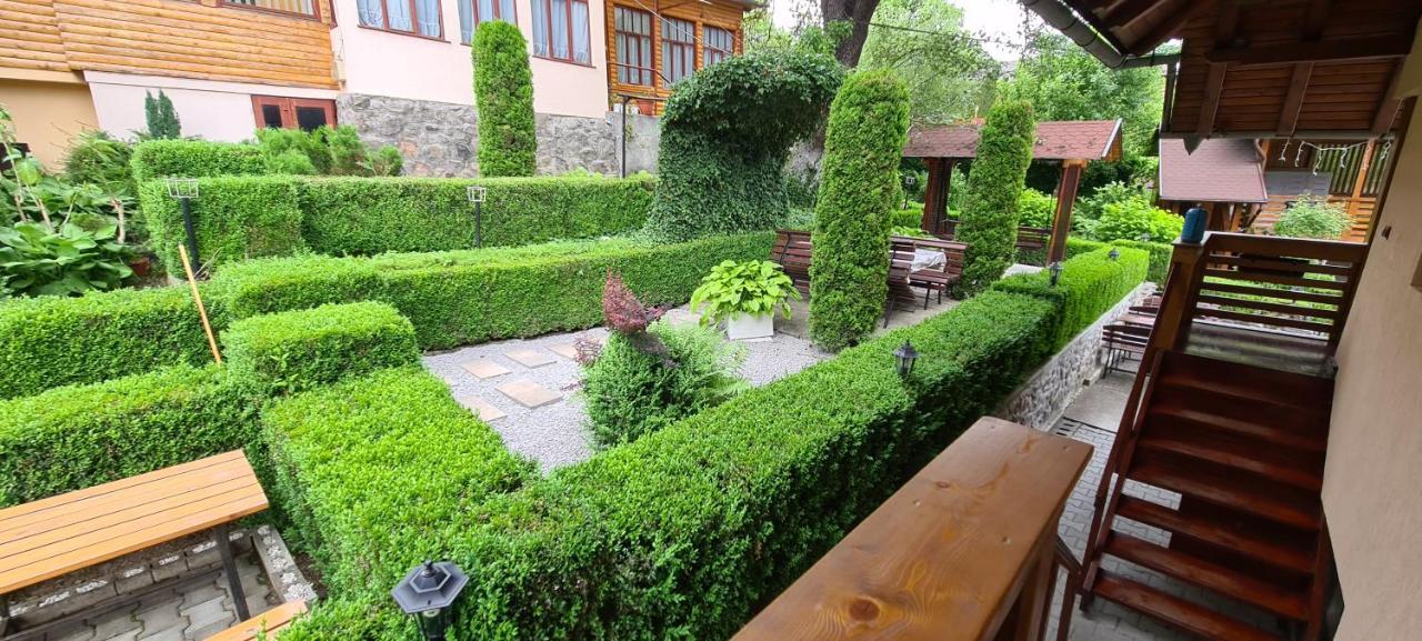 Casa Edy Hotel Совата Екстериор снимка