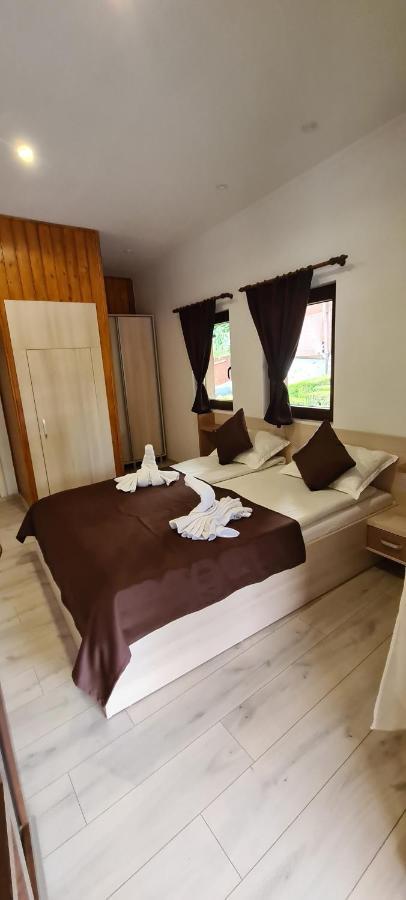 Casa Edy Hotel Совата Екстериор снимка