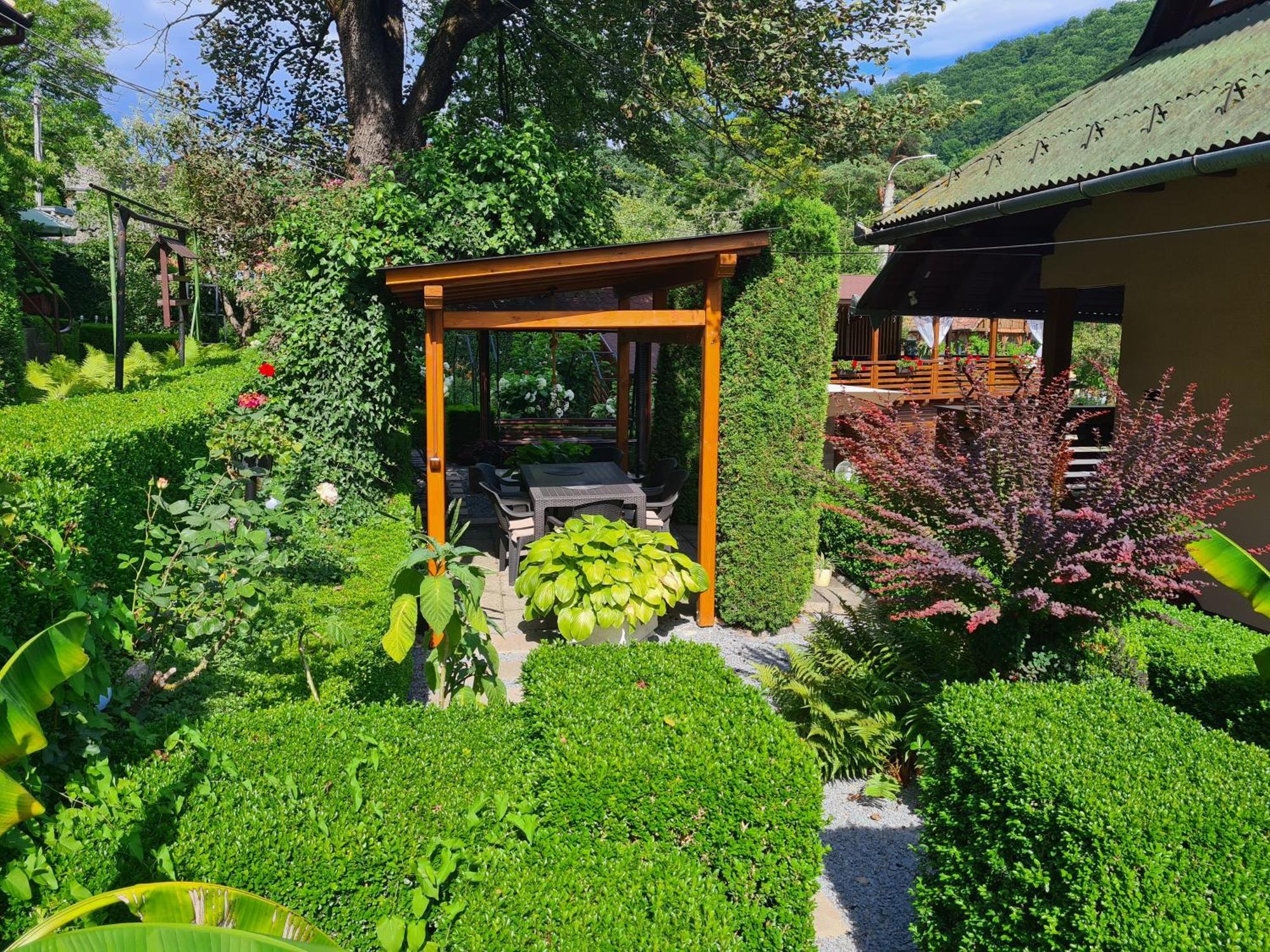 Casa Edy Hotel Совата Екстериор снимка